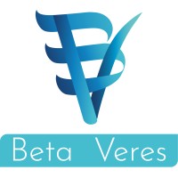 Beta Verse logo - Similar company to Sgi Consultants