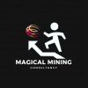 Magical Mining logo - Similar company to Pr Global Group