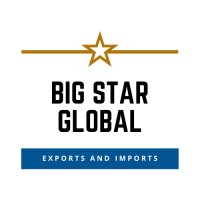 Bigstar Global logo - Similar company to Statpak Llc.