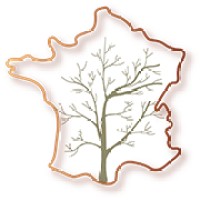 Terroir-Artisan logo - Similar company to Alpha Digital : Sculptez Votre Marque Avec Le Web Et L'Ia