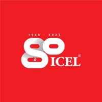 ICEL logo - Similar company to 1K2F - Business Solutions, Lda.