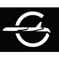 FlyGlobos logo - Similar company to Virtual Intelligence Providers, Llc