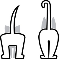 Dejac SA logo - Similar company to Limax Spa