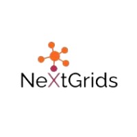 NextGrids logo - Similar company to Prosperity Mind Academy