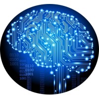 Neurological Health is THE Competitive Advantage logo - Similar company to Potency.World