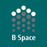 Best Space Real Estate logo - Similar company to Alvorada Irresistível
