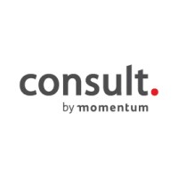 Consult logo - Similar company to Bkd Auditors