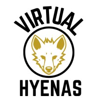 Virtual Hyenas logo - Similar company to Mount View Constructions Pty. Ltd.