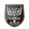 Falmouth Rugby Club logo - Similar company to Willow And Stone Ltd