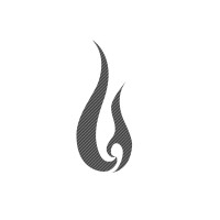 Reignite Life logo - Similar company to Video Visible