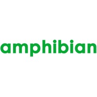 amphibian digital logo - Similar company to Practical Natural Language Processing Book