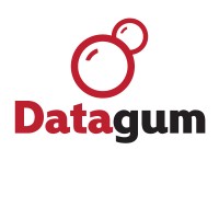 Datagum logo - Similar company to Fisd