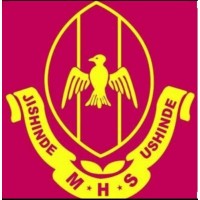 Mangu High School logo - Similar company to Appleton Schools