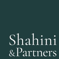 Shahini & Partners logo - Similar company to Datasystems Llc