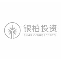 广东银柏投资有限公司
