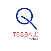 Teqball France logo - Similar company to Meselec