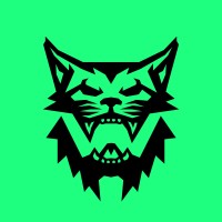 Wildcat Media logo - Similar company to Gasomarshal Technologies