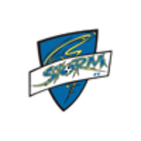 Storm FC logo - Similar company to Free By Sport