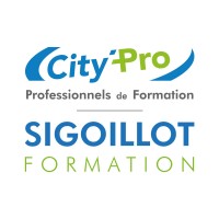 Réseau Pro Est City'Pro La Veuve logo - Similar company to Hiloza