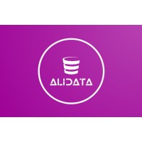 AliData logo - Similar company to Alidata