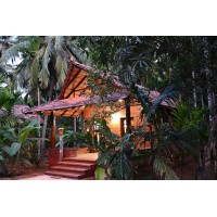 Areca County logo - Similar company to Codeyes Media