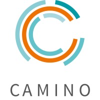 Camino - Werkstatt Für Fortbildung, Praxisbegleitung Und Forschung Im Sozialen Bereich Ggmbh
