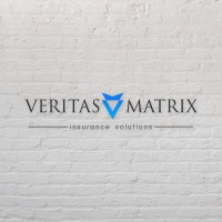 Veritas Matrix logo - Similar company to Partner Broker D.O.O.