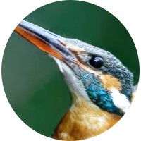 Institut for Vild Natur logo - Similar company to Alling Naturpark