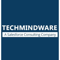 Techmindware logo - Similar company to Megabitts