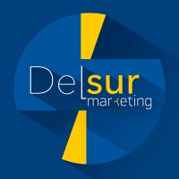Del Sur Marketing - agência de marketing logo - Similar company to Echo - Agência De Marketing