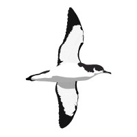 Shearwater Analytics logo - Similar company to Invested Advisors
