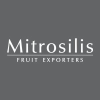 Mitrosilis S.A. logo - Similar company to Re/Max Experts