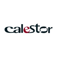 CALESTOR logo - Similar company to Sigma Info