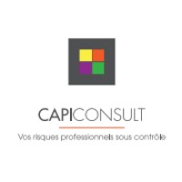CAPICONSULT LOIRE AUVERGNE logo - Similar company to Capi Consult O.I.