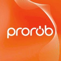 Prorob logo - Similar company to Cross Domain Systems