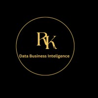 Data Business Inteligence logo - Similar company to The Data Cleaning Lady