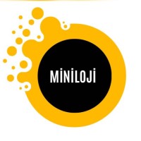 Mini lojistik logo - Similar company to Servicexpress Lojistik