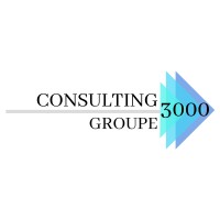 CONSULTING 3000