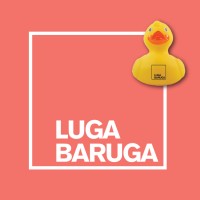 Luga Baruga Ltd logo - Similar company to Insitu Display Limited