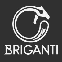 Briganti BV logo - Similar company to Game Master Worlds