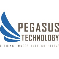 Pegasus Technology logo - Similar company to Ducksboard