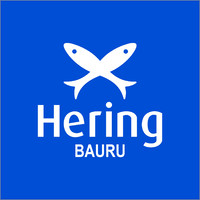Hering Store Bauru logo - Similar company to Red Feather