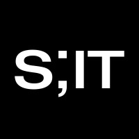 Share IT Ltd logo - Similar company to Setvi Europe