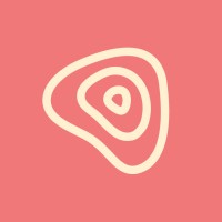 Nizatto Agency logo - Similar company to Noir Pro Creative Studio