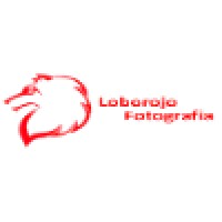 LoboRojo Fotografia logo - Similar company to Instituto Artes Visuales
