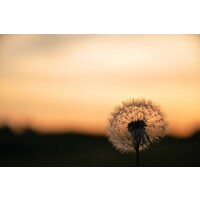 Gemeinwohl-Ökonomie - Regionalgruppe Frankfurt logo - Similar company to Biohotel Villa Orange