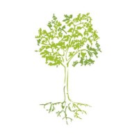 Regenerative Design logo - Similar company to 7Group