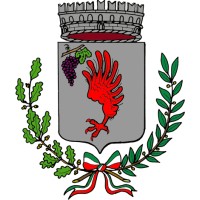 Comune di Rubano logo - Similar company to Soluna Experience