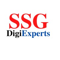 SSG DigiExperts logo - Similar company to Veliox 33