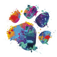 DOCVET | Clinica Veterinaria Nervianese srl logo - Similar company to Msm Vets